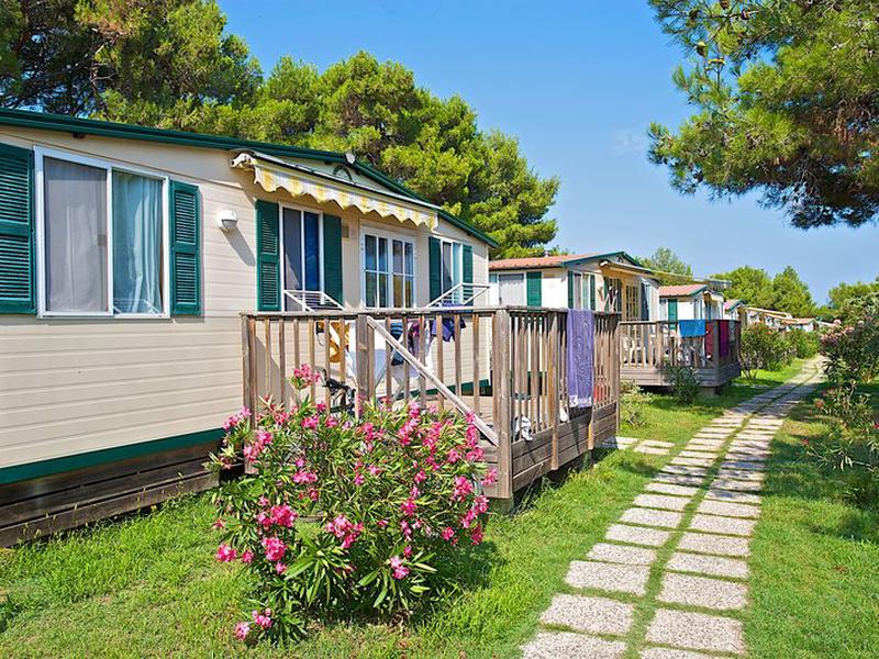 9083069742C51ACA4F651D6401A3D5A0