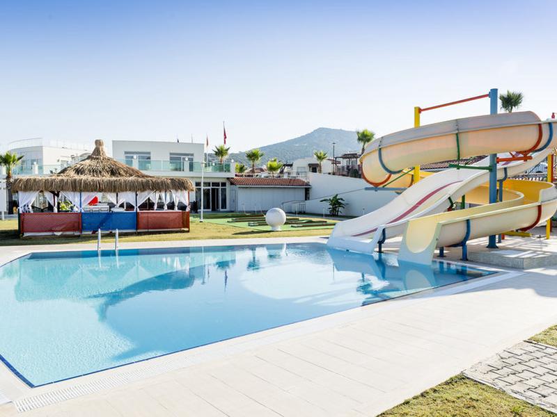 01770516931703BF8FAF8A98448622F8