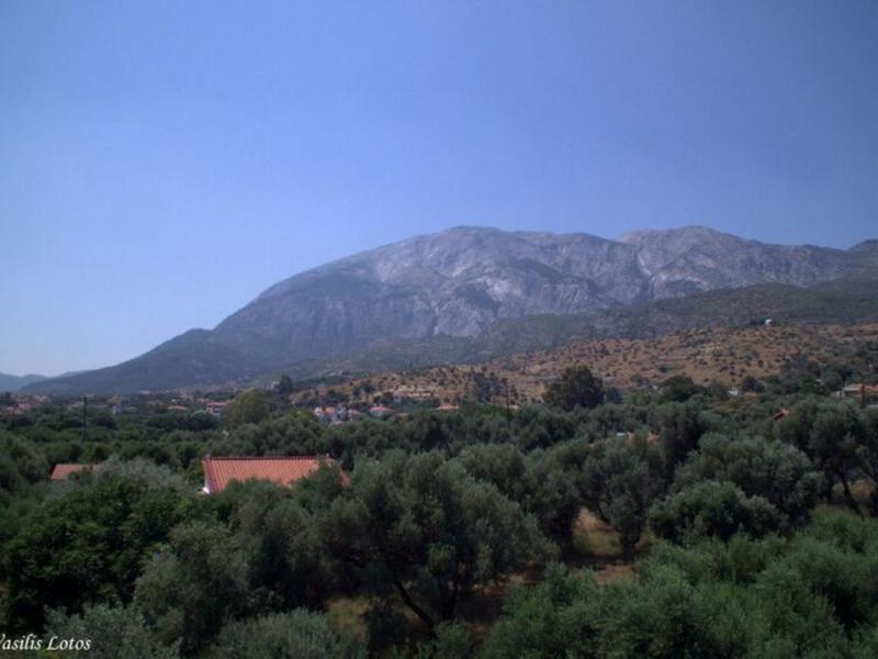 C4C9D8426FF49AB147062A244265D902