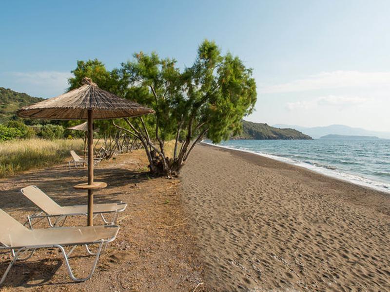 2E3A8834F6D9F5661363AF9D2ABE16D3