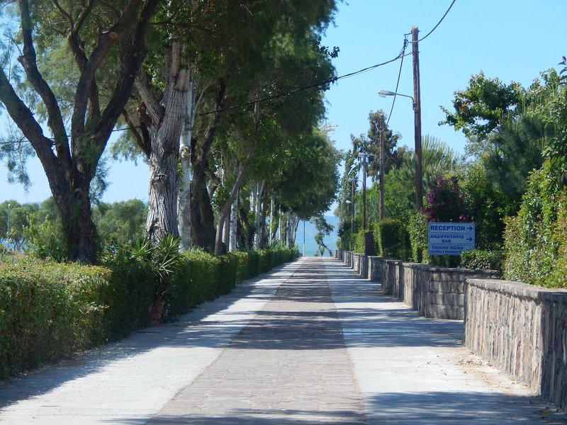 5516D7B5668C9C5BDBF88583D334DA34