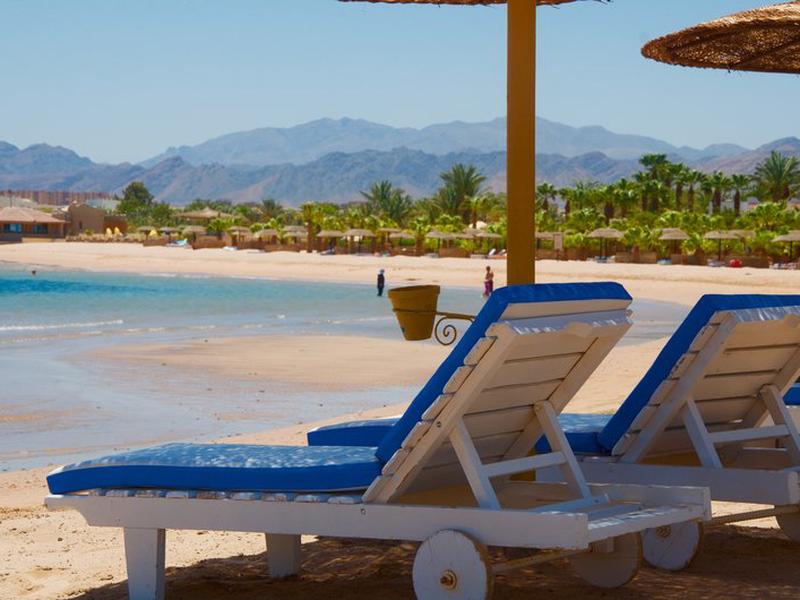 0E3DC8D7F5A9264A67A7B4E1DF92E339