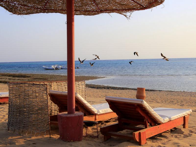 1FBDA0FF938A7801FC346E9CDE83AA43