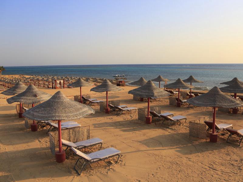 564BE326C3E74AAFD6540D754CAC8E15