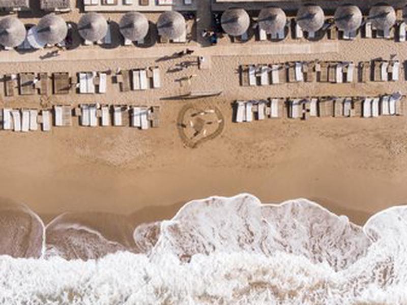 E6ECDA1D21458E119821D032FE19E553