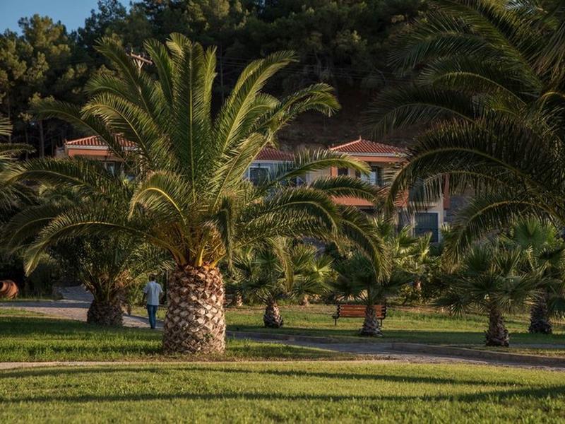 D72976118998ABA33BC0AA7617D1A5D0