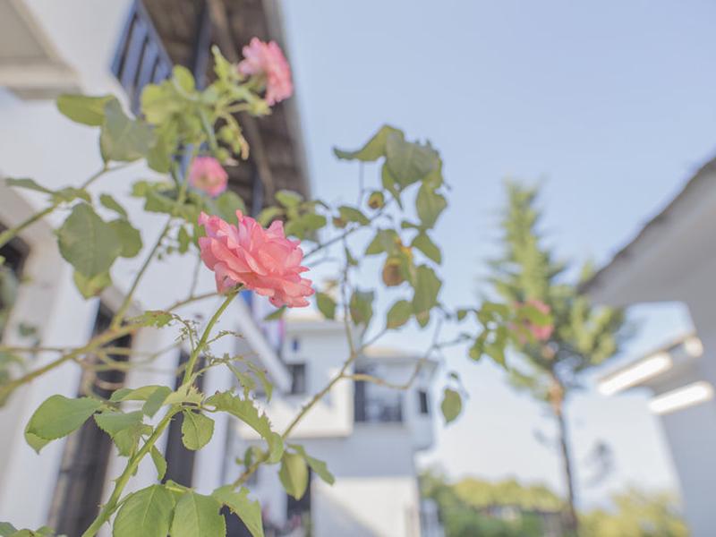 59A290792D2BD2E9AE5779C34666D515