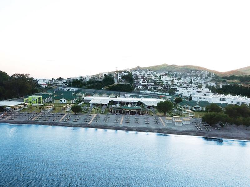 95EA1631533588925547D478D0C9EF23