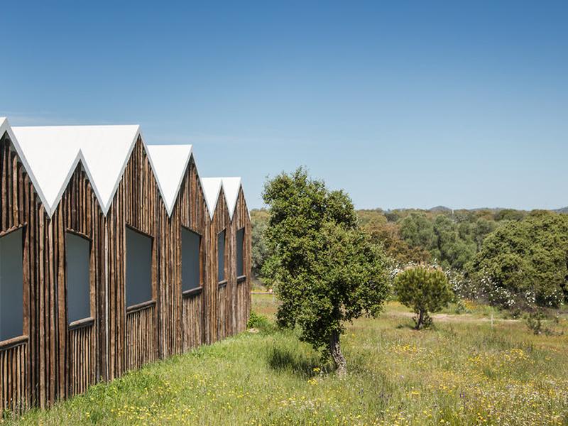 3EED92839FA1F4FAFF63F9276C9B32F6