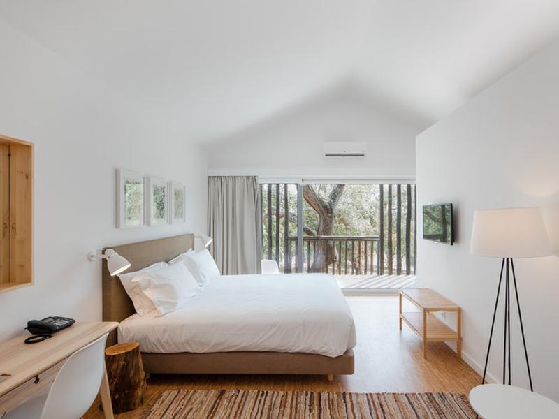 E09A50FD0486B88DDB1584863D81E626