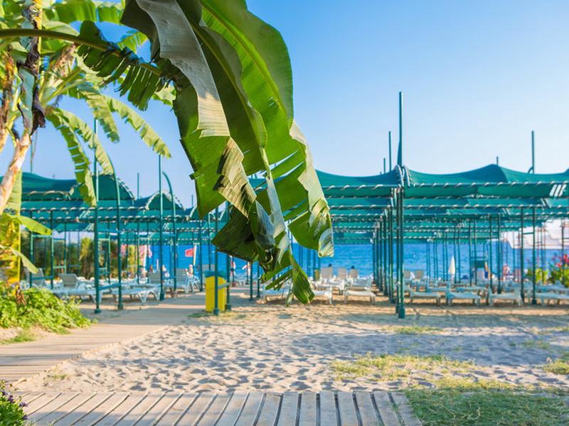 32851D154C101BC3873E66D84FA5B8EF