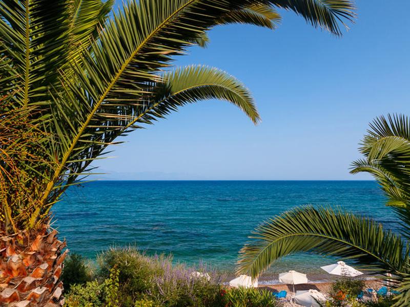 87C9950F404C20194F55531A0868D344