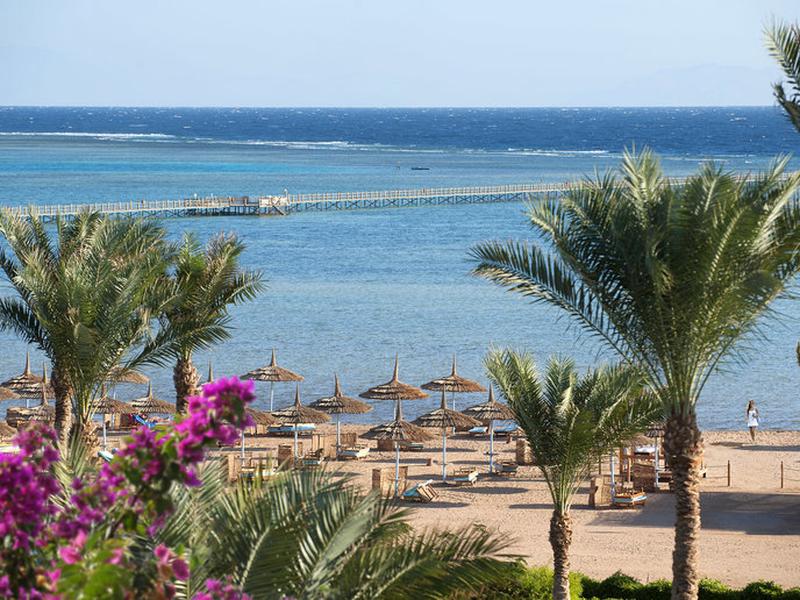 63F333AD6E41FBC726B670817315D336