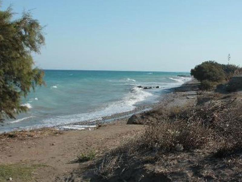 64F3BB0A1D8B328D9C39B4BC96683E5C