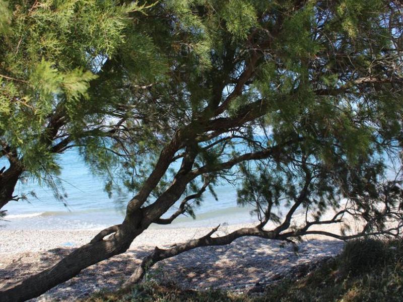 B3F183F9E5C7152059A9FFA7239C1F50