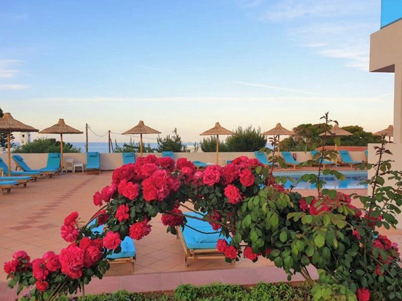 C5E528B68EA8F6CAAE24DC6198173A91