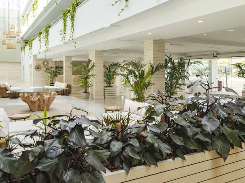 09F9C714CA8EF1160C2A2DC2C36BBA6A