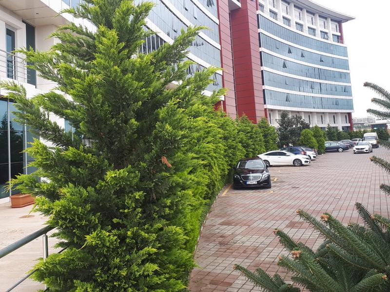 E9D71E288A3654B0E0BA0E4168018F59