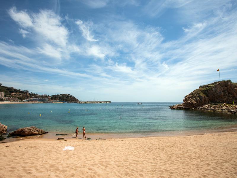 CBEE2B05B8E0837FEE889C9FF3780A81