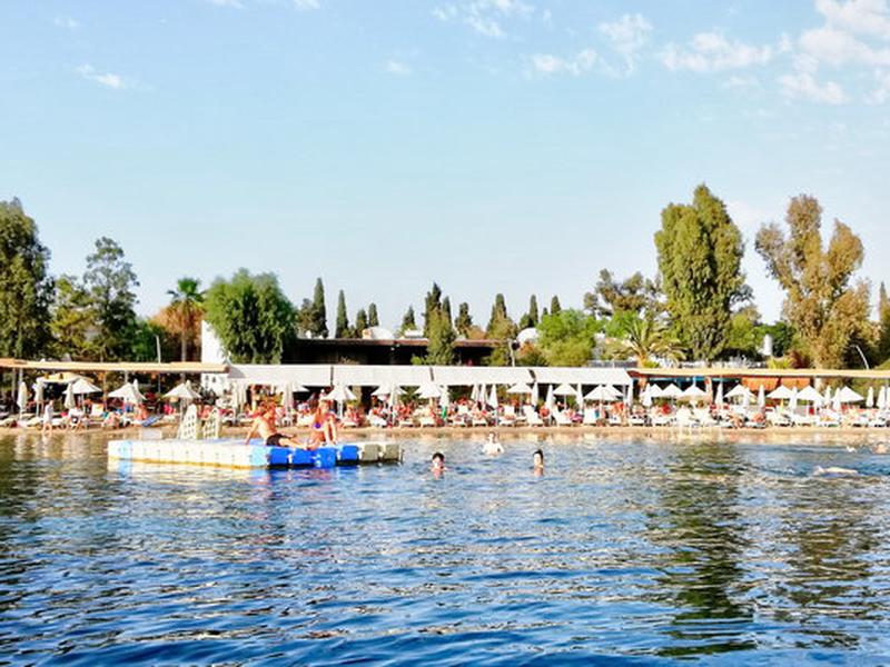 2006A256561AD84EA8A5A9D2C5A47FDF