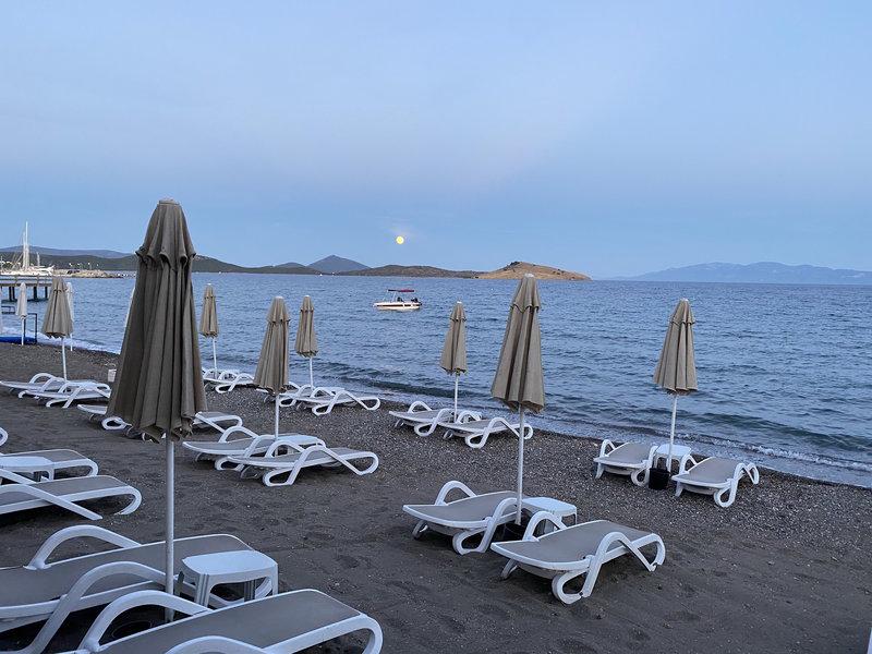 C5F82C6175060D5C666F37DEB1B9BEBB