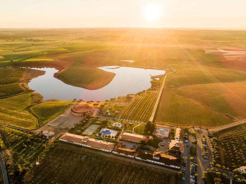 6B59EA2C5CD42CA242F8B68E3826DE5C