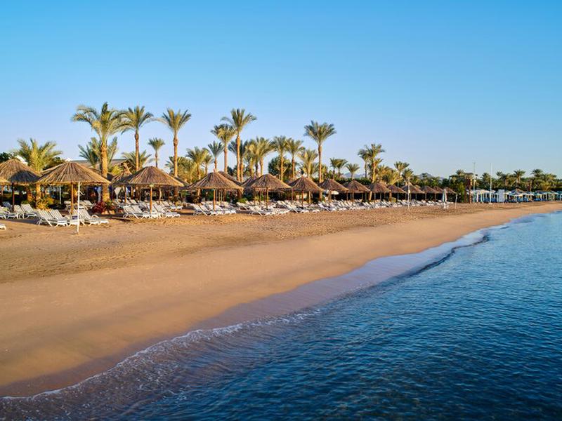 9ADA5BEBD3F555E38A34A2123160DFEF