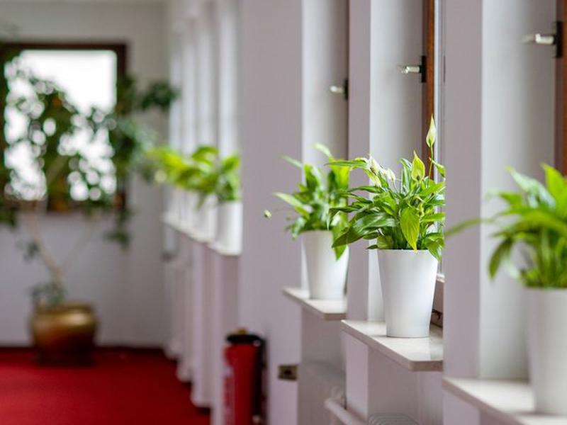 0B868FE8E6EA638786BF0A584F423379