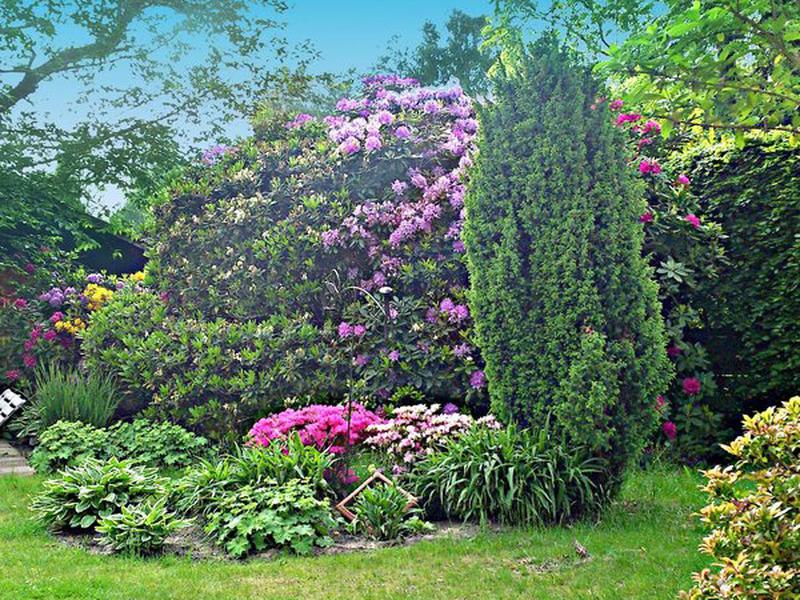 7461F594A6A9D31CF892FF64F97B7E59