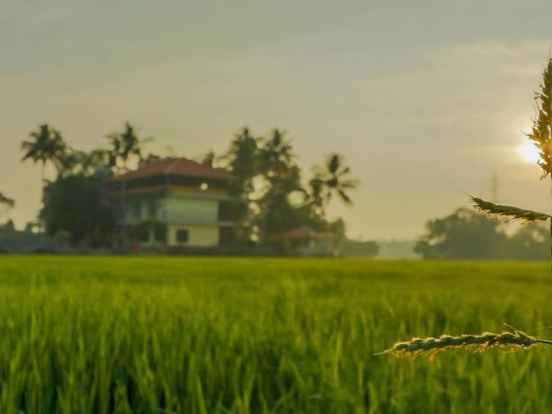 FF9C75323D58D46B5871A8344315D3DD