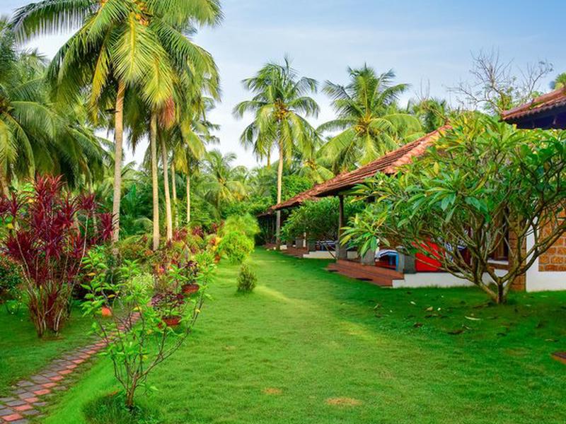 B020257E18632C2D67A96B1DEFF42F67