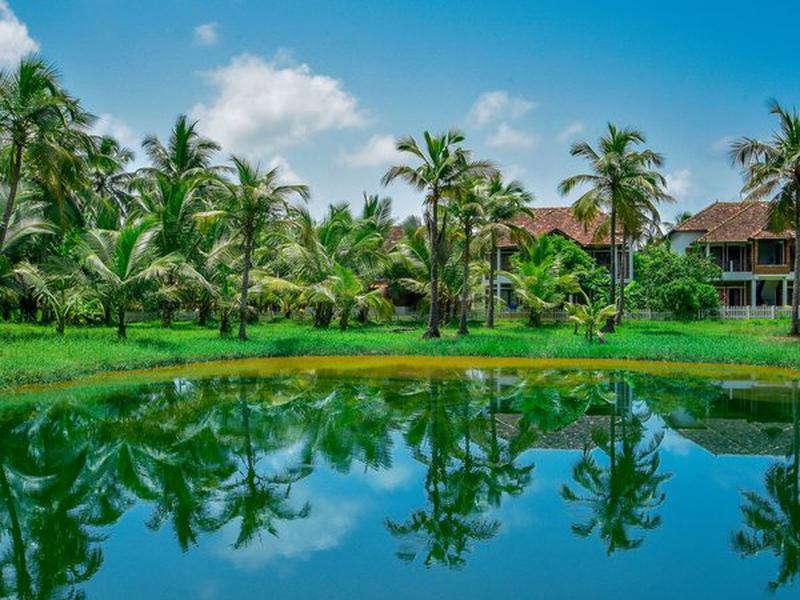 0B5686102CD612636CE9F6437F1AB4B8