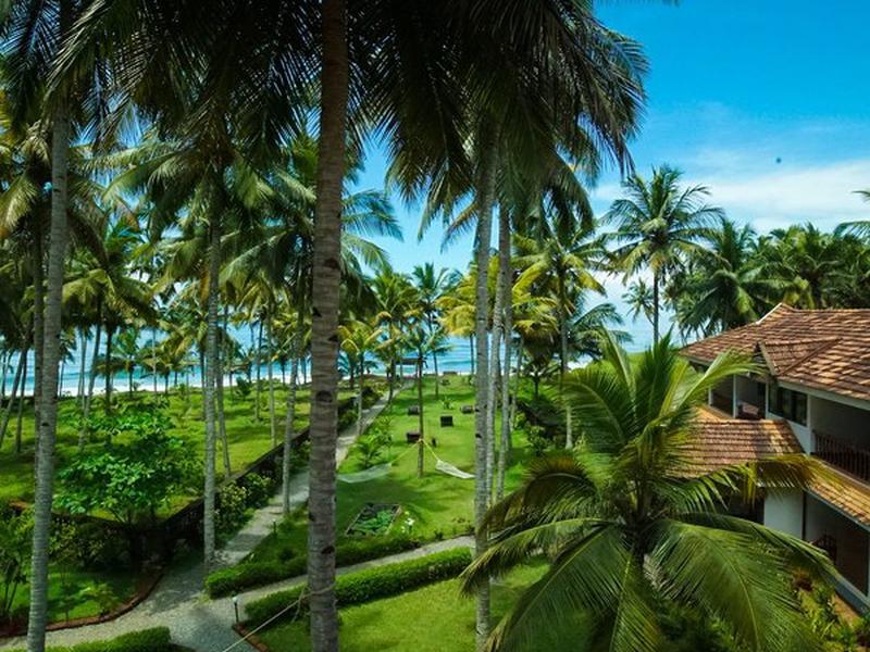 156F0B5A68A0737C336B9B2DD0DC7E9A