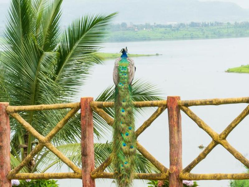 6E64FA0BE1DD760187294D90DDCDCEDB