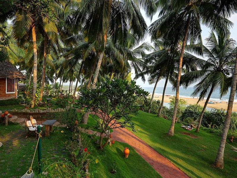 9FAF0EFEC3B02B7E2D3DDD15BA3E90B8