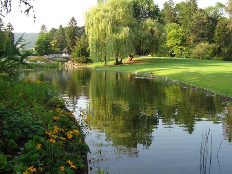 41A5DC3A1565975CCDAF3102EE549F1C