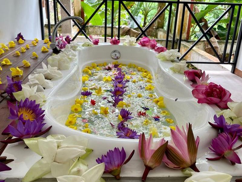 80611B9A73E2DAC0F13DED7AC631D0E3