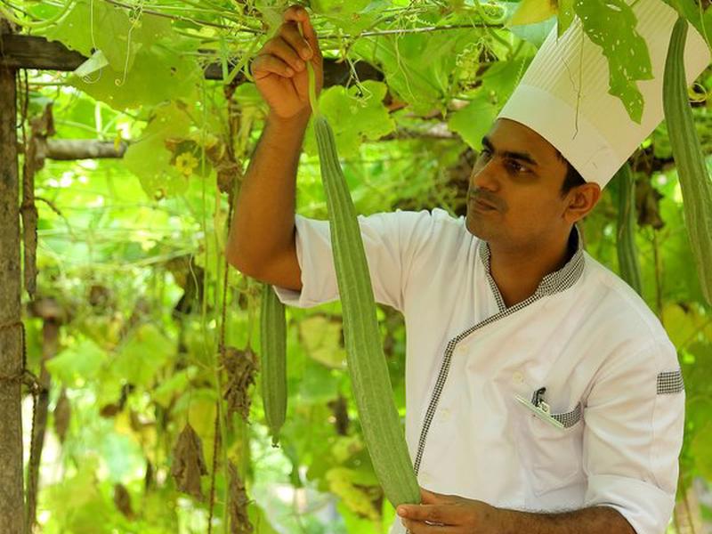 C30F337DD25BC4C1EF2B4C5E53CA4CFC