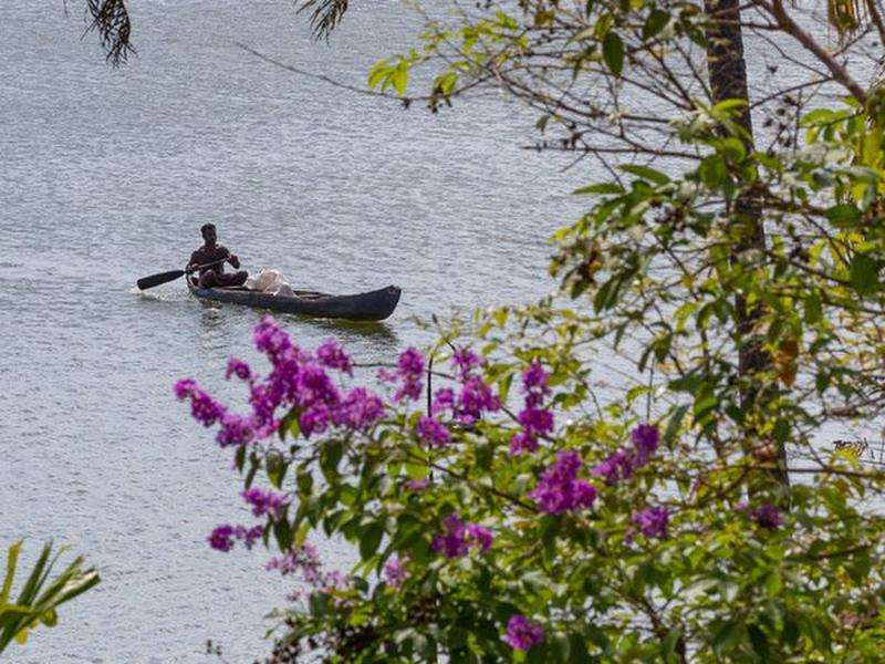 CEA882C29565D41183E668933FAF5584