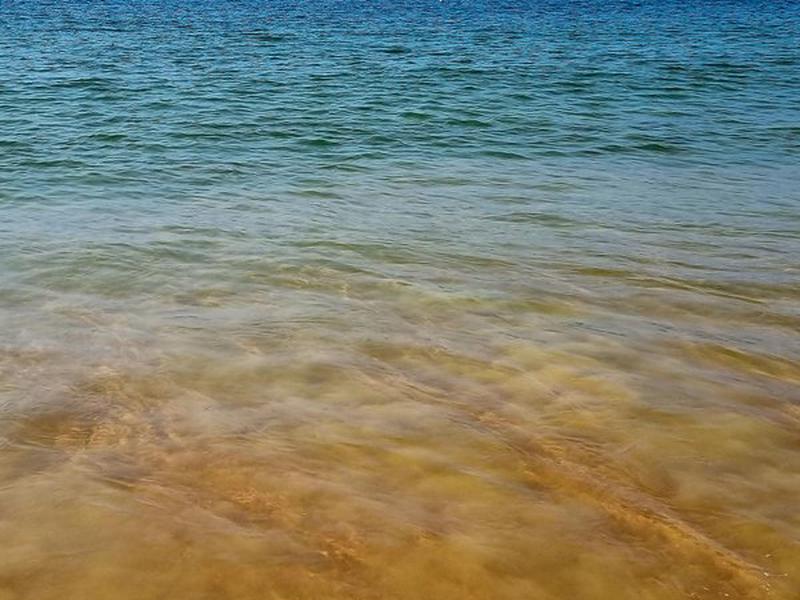 E2DED52F3FEC2F49E7BC15B5559DCE89