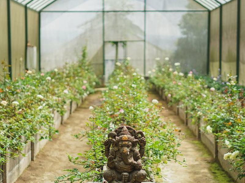 3BC3BDF3D3393ED5AC68DC69DF57142E