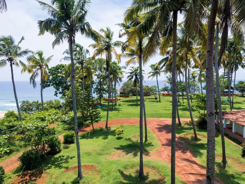 A61264EC4F784FFA2E1CDAD51E39106E