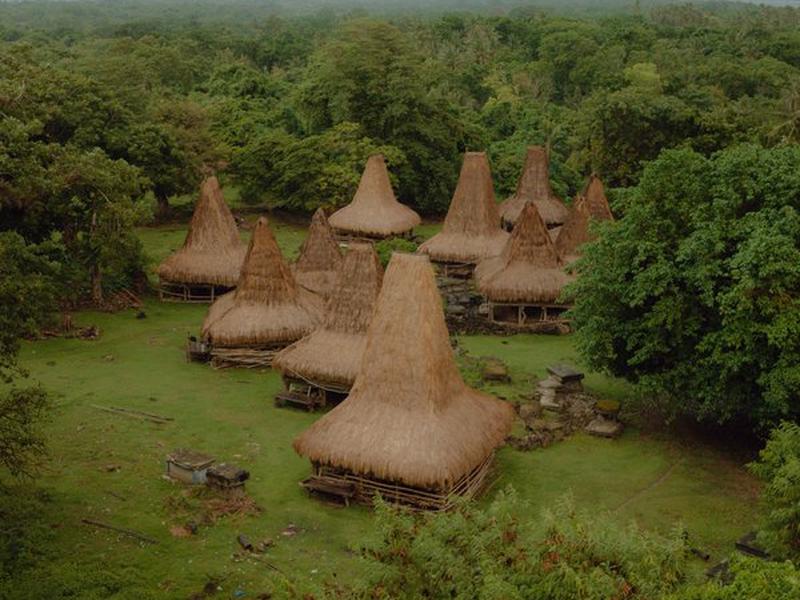 55C7880EB8068BEE99972806B9221721