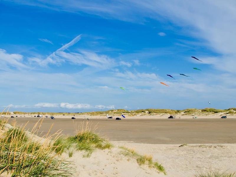 2AD68AF0870275133F410C9D69AE9AC1