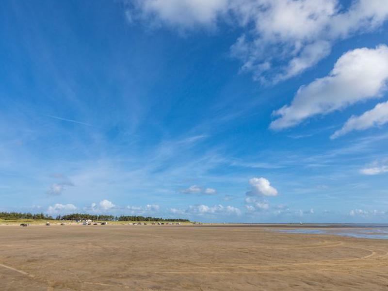 E9880126BB7D46C63D3713266499EDC7