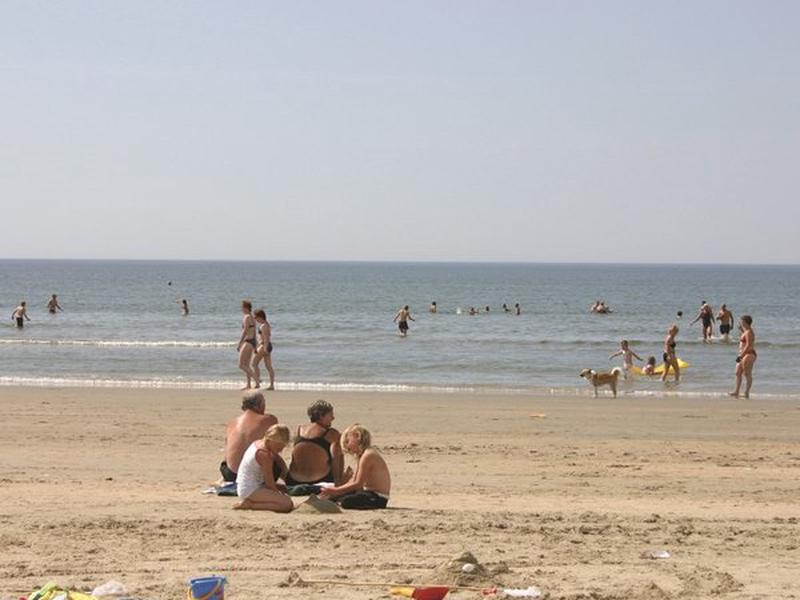 0086F7F9B7085367323E63A15490447B