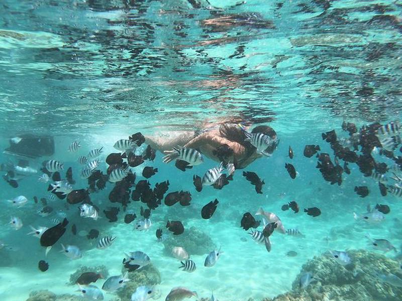 82527AFA0C803D362067930C5E428F51