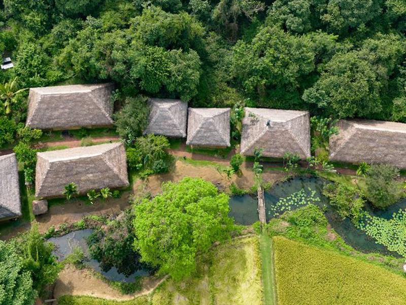 FFB2DCEE740D168B9C7AEB5D0A16B97F