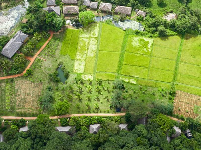 72983447BEAF46BCCC2DB83DC191B1C9