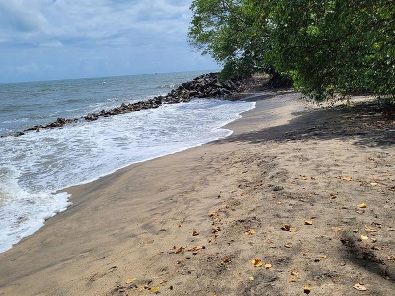 AA7547DAA2AC68B344E6EBD4B0096BB1